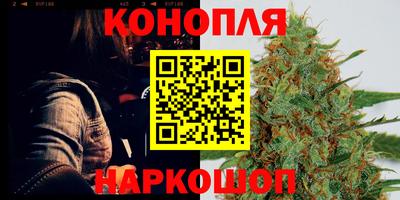 гидропоника Будённовск