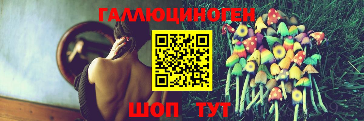 Псилоцибиновые грибы Psilocybine cubensis Краснознаменск